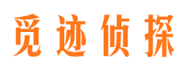 临安市婚姻出轨调查